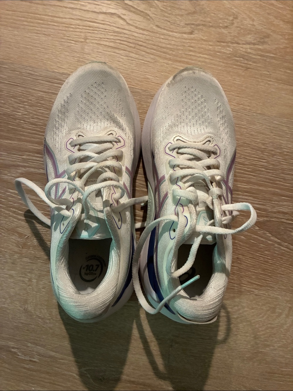 ASICS Gel Kayano 30
